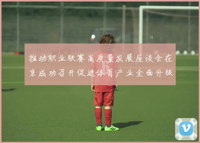 推动职业联赛高质量发展座谈会在京成功召开促进体育产业全面升级与创新发展