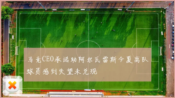 马竞CEO承诺助阿尔瓦雷斯今夏离队球员感到失望未兑现